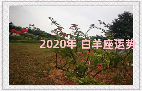 2020年 白羊座运势